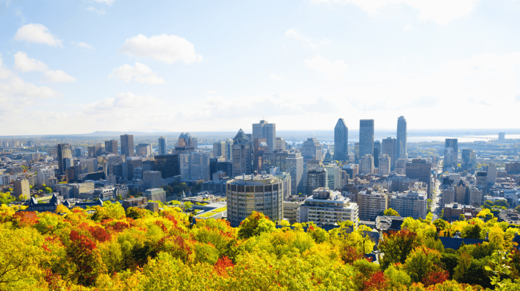 Meilleures Agences SEO à Montréal